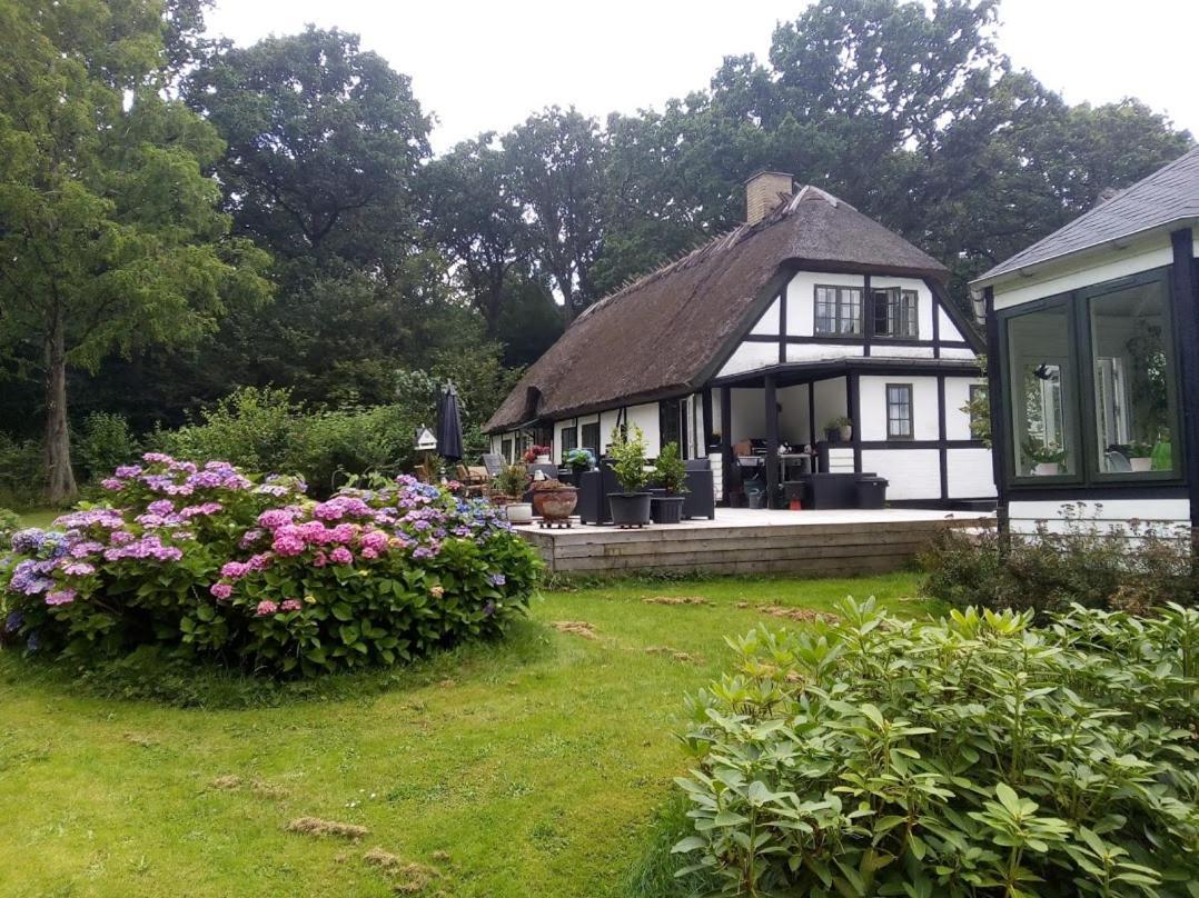 The Foresters House- Idyllic Tranquility- Non Smokers Only Store Heddinge Exterior foto