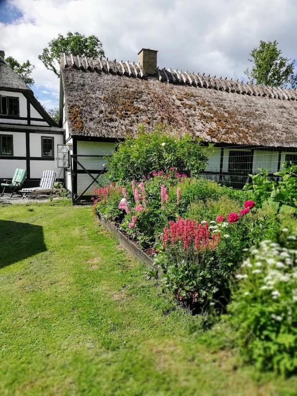 The Foresters House- Idyllic Tranquility- Non Smokers Only Store Heddinge Exterior foto