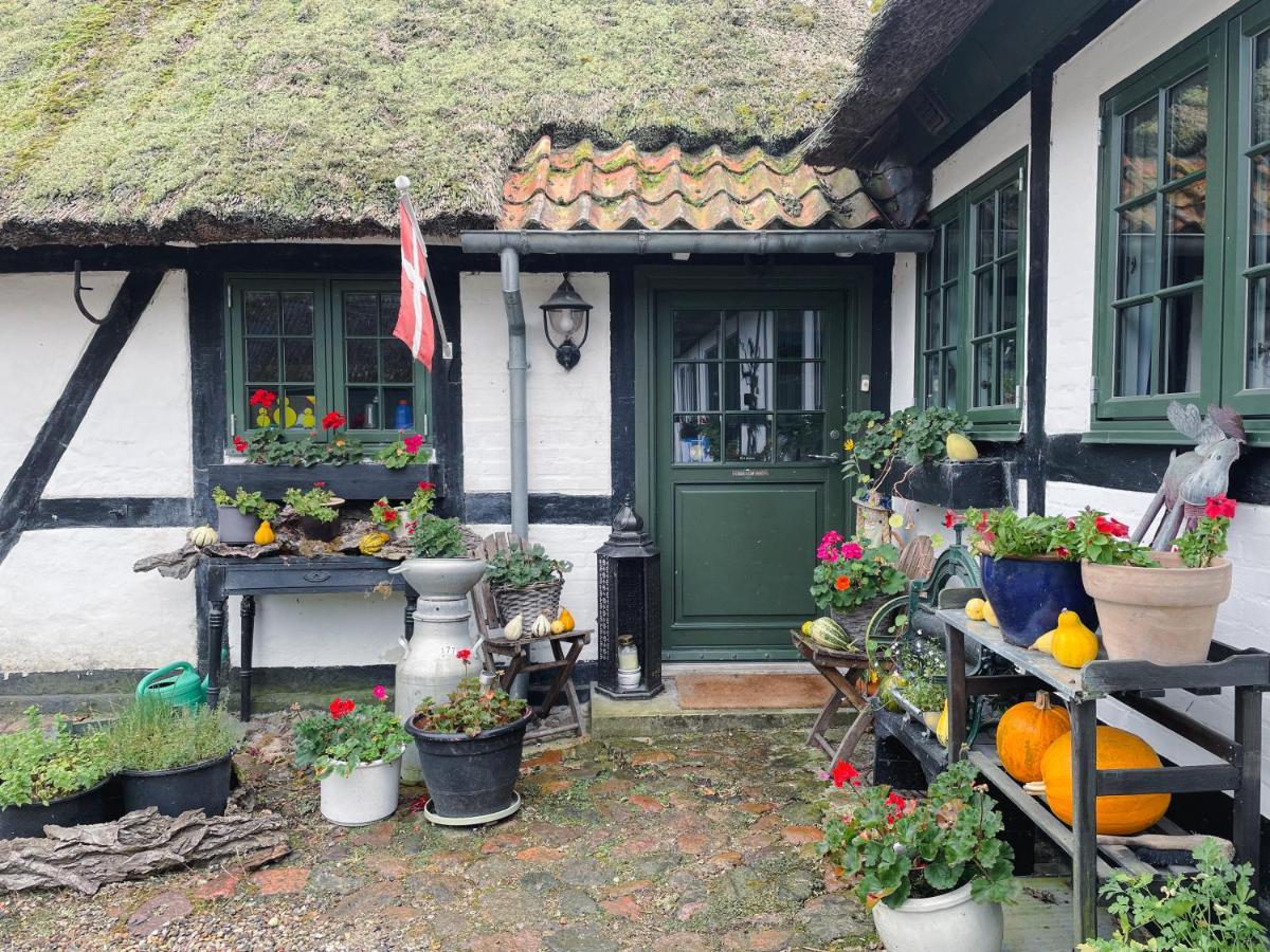 The Foresters House- Idyllic Tranquility- Non Smokers Only Store Heddinge Exterior foto